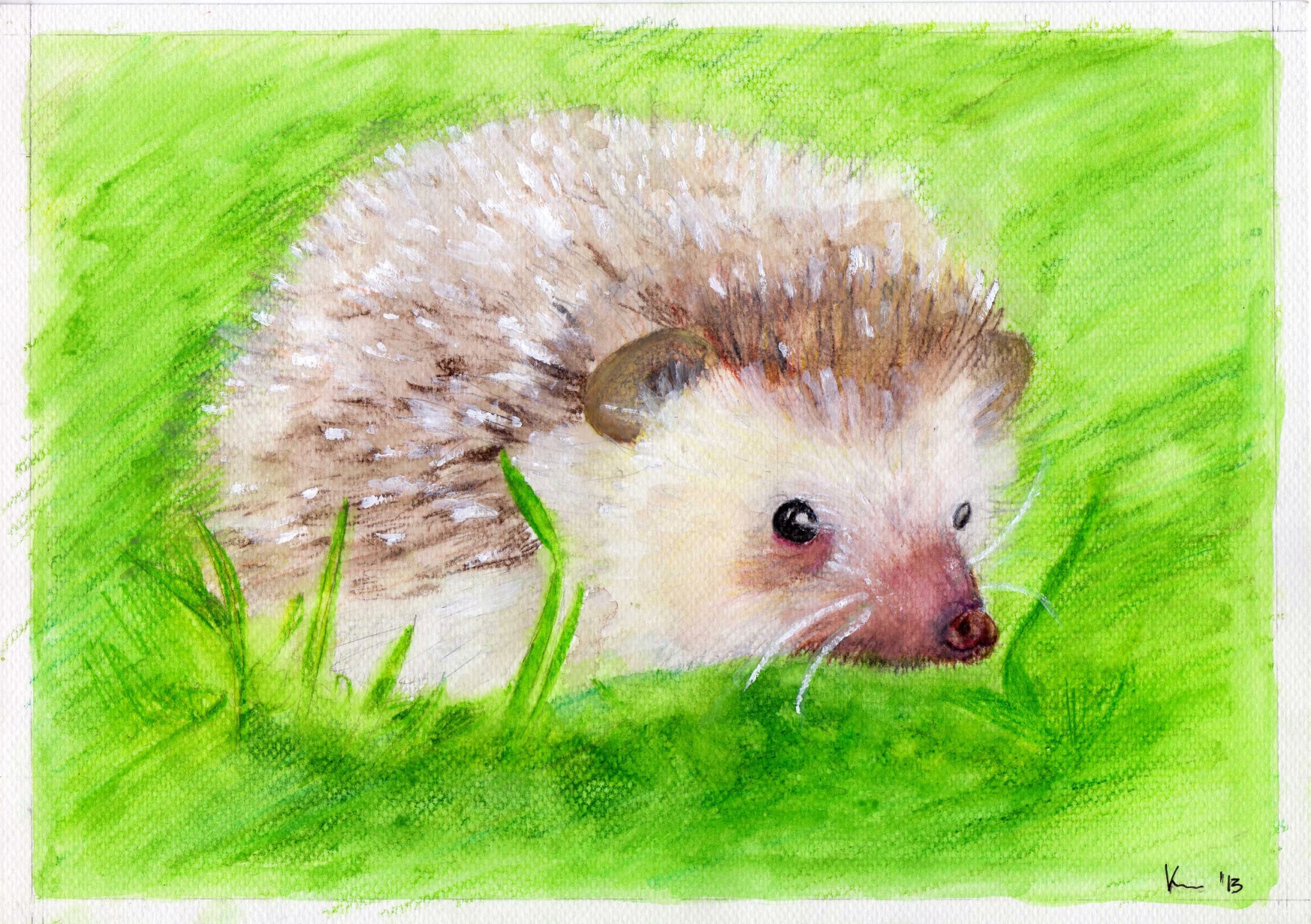 Hedgehog