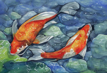 Koi Fish