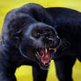 Catamancer Black Panther