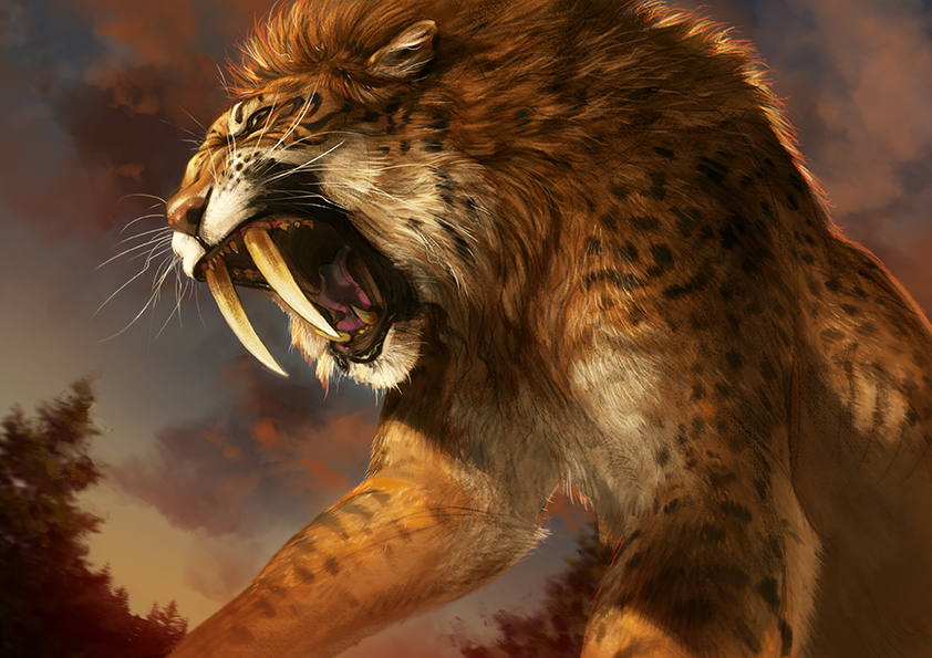Catamancer Sabertooth