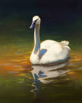 Swan Stream Painting