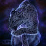 Starry Leopard