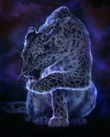 Starry Leopard