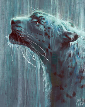 Deviantart Wash Explore the Best Wash Art | DeviantArt
