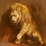 Lion light study Dec 24