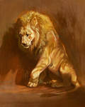 Lion light study Dec 24