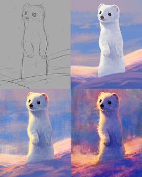 Starry Stoat Process