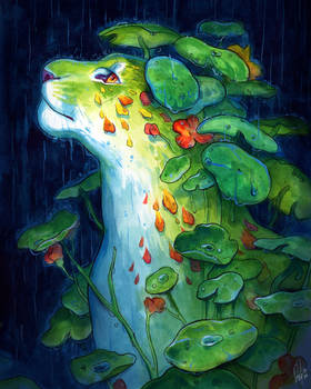 Night Rain