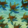 Drifting Turtles