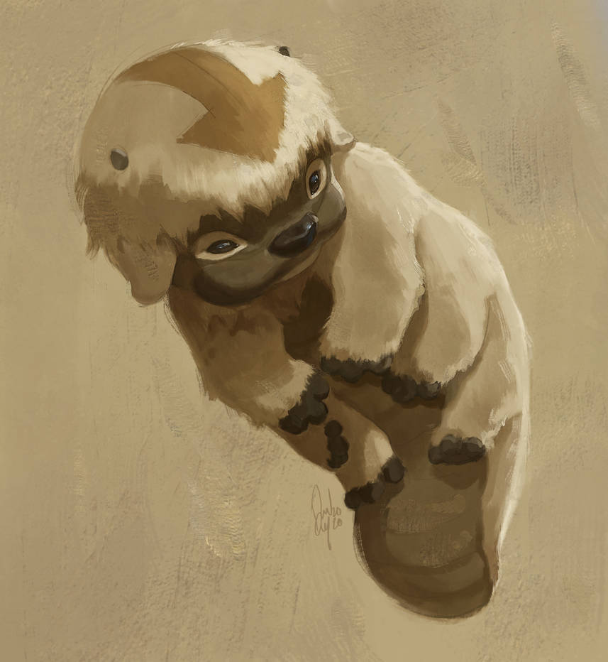 Baby Appa By Tamberella On Deviantart Baby Appa By Tamberella On Deviantart
