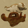 Appa + Kittenbus 2