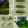 Free Foliage + Grass Brushset