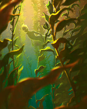 The Kelp Forest
