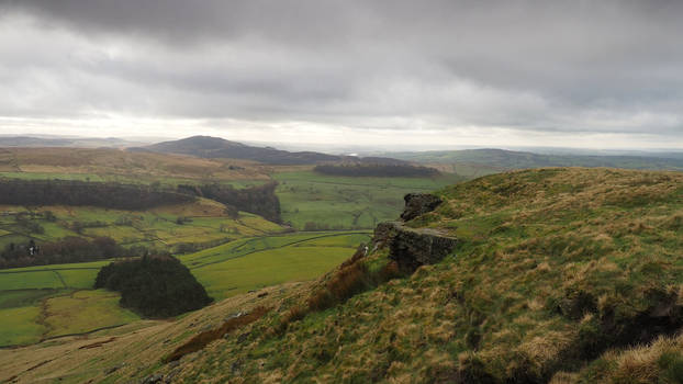 Looking down from the crag