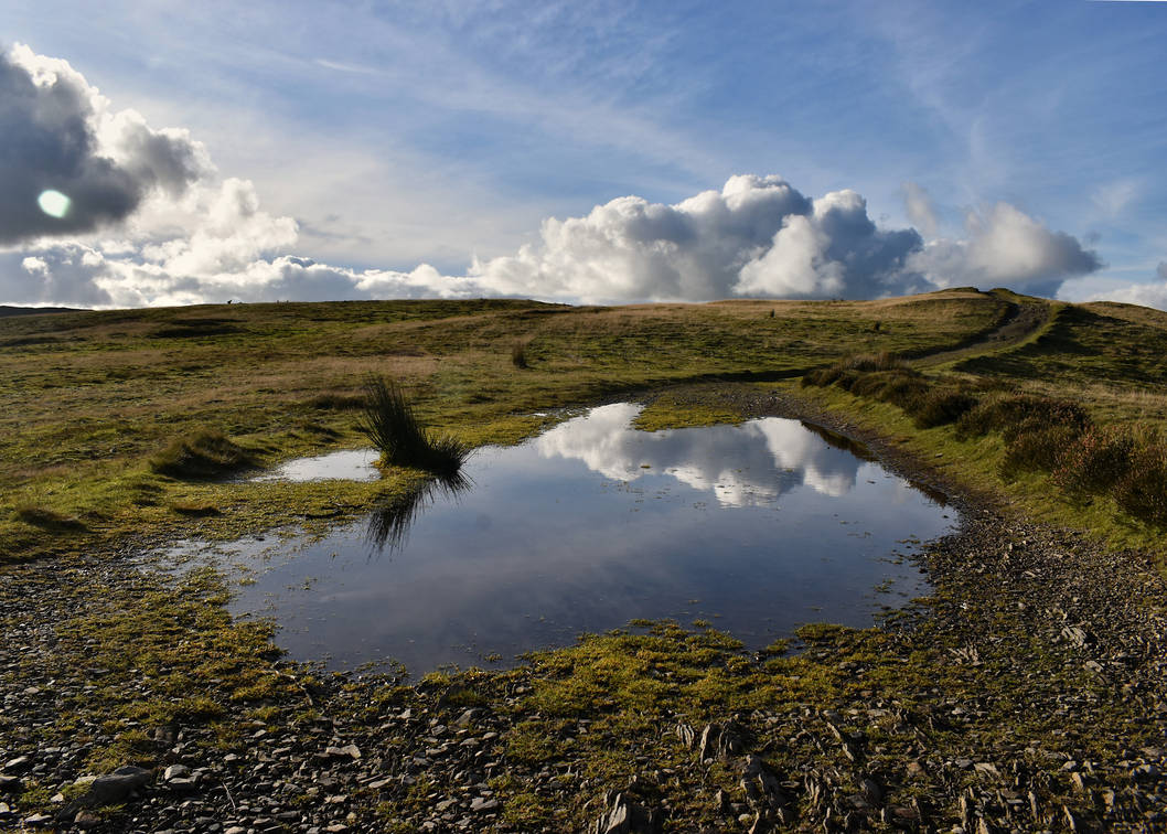 Puddle up high by KatesWildPlaces on DeviantArt