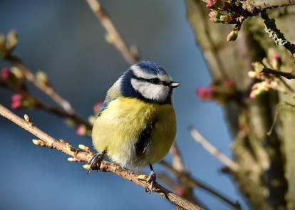 Sunshine at last!