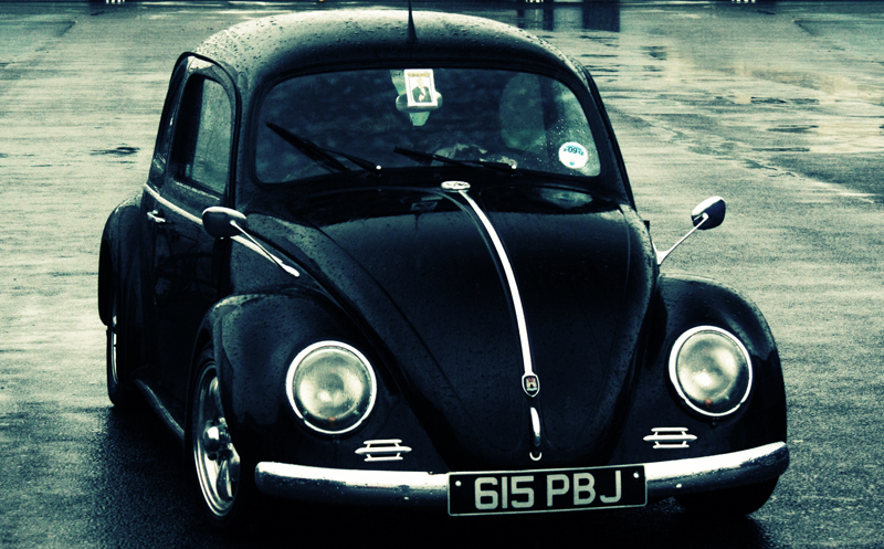 Black Bug