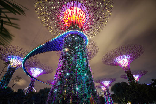 Gardens by the Bay