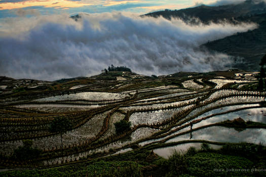 Yuanyang Rice Terraces Yunnan