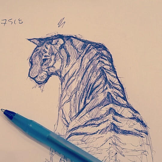 Tiger Sketch