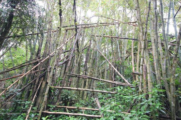 Bamboo Tower