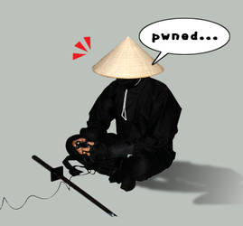 Ninja Pwnage...