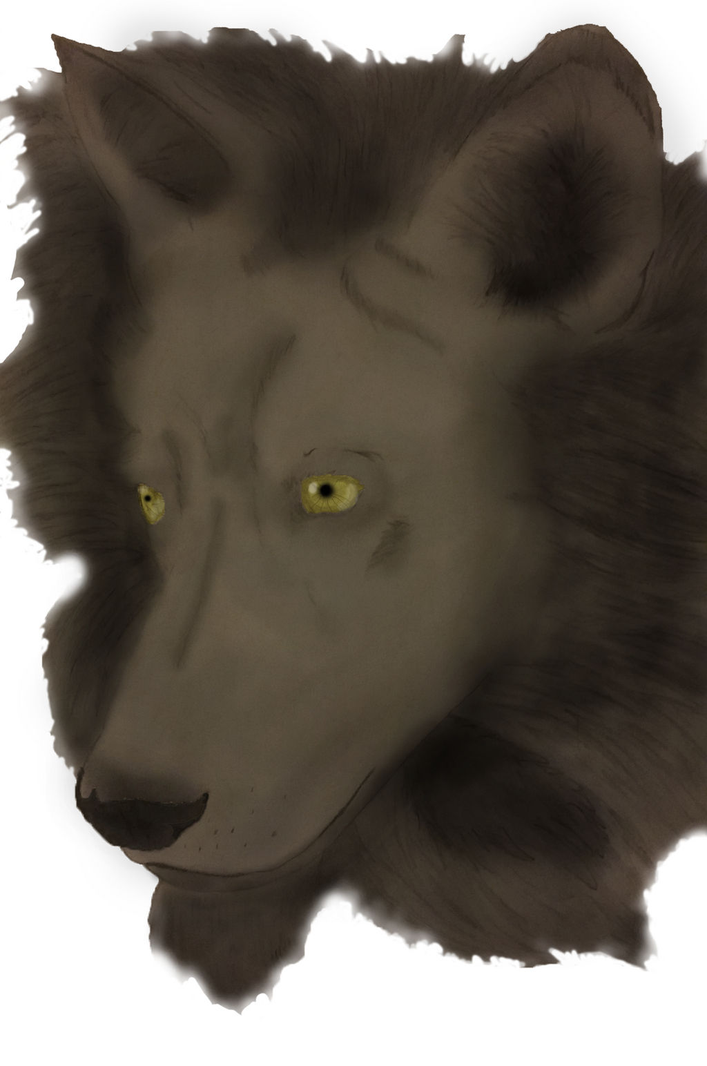 Wolf by Dernwurm on DeviantArt