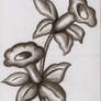 Flowers-charcoal practice2