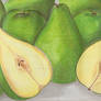 Green pears-pencil colours coluring practice2