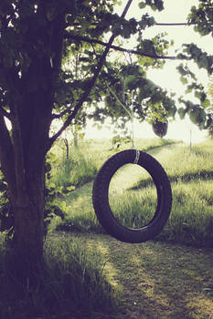 Tire Swing