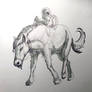 Horse Pen drawing