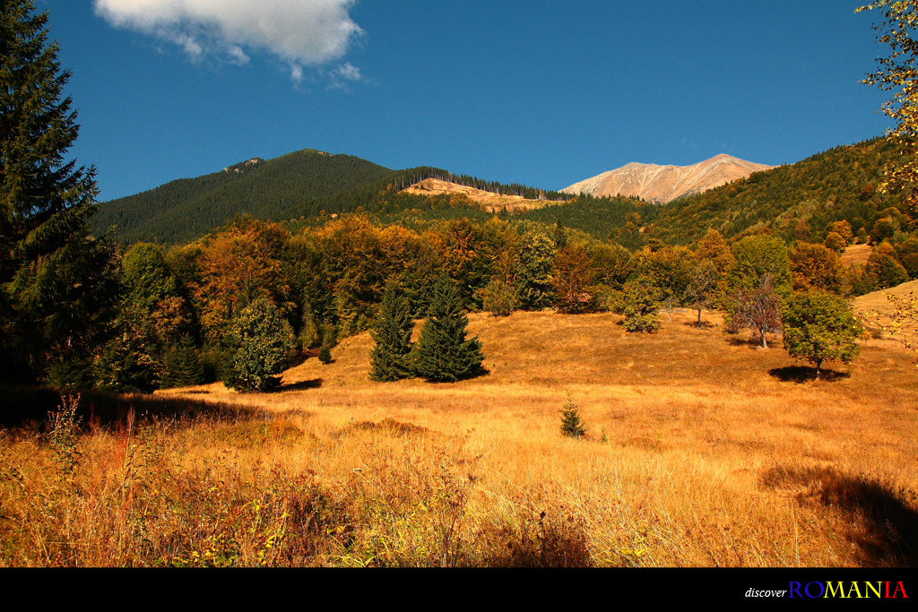 Discover Romania Series, 5.5