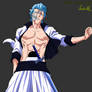 Grimmjow vexel