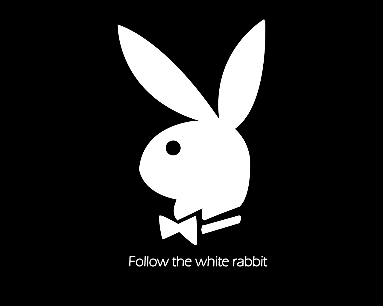 Follow The White Rabbit