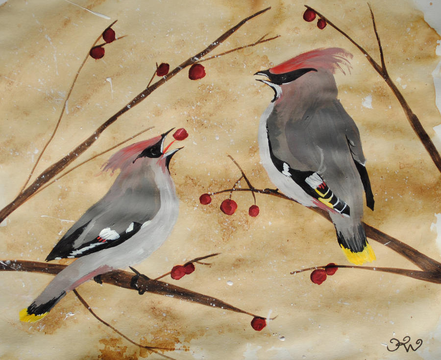 Waxwings