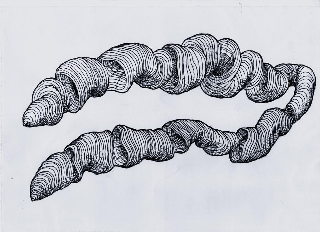 Drawn Disection Disection by joacus on DeviantArt