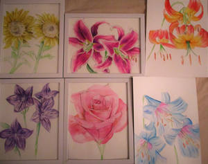 All six floral commissions finished!