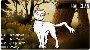 + || Dewpaw - Hailclan Herbalist Apprentice || +