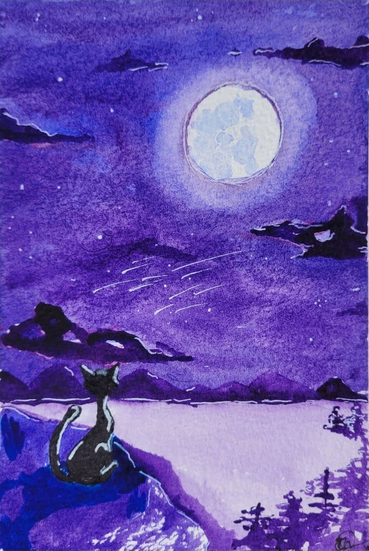 Sentinel by iiRixaii on DeviantArt