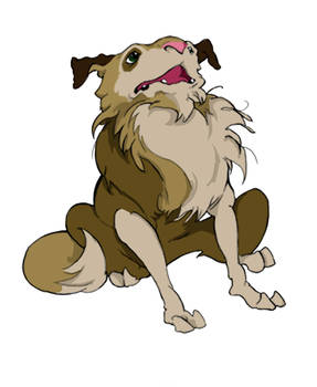 Flapjack