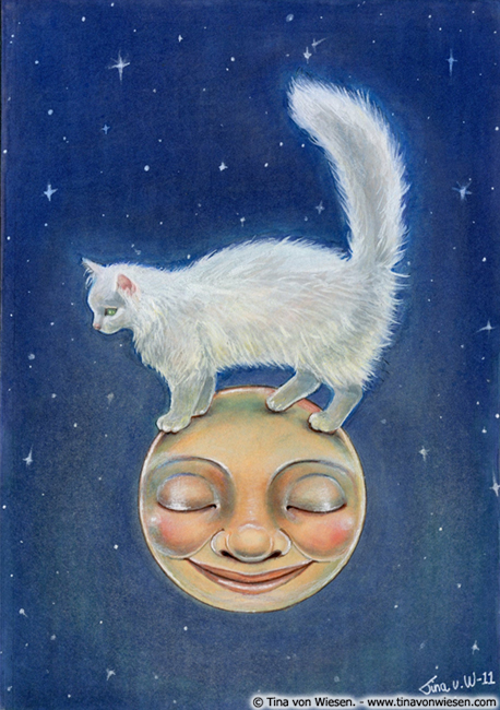 Cat on Moon.