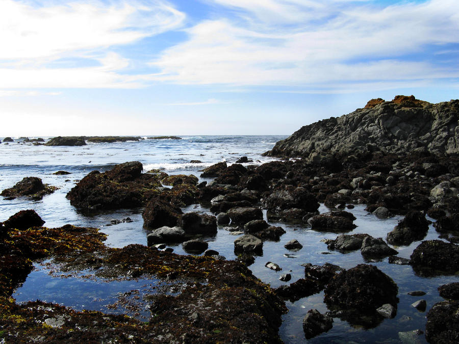 Mendocino Beach 1