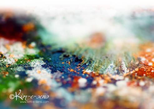 Meadow of pigments