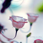 candelabra by kim-e-sens