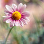 Natural mystic
