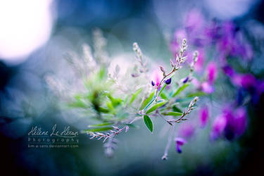 la magie de la nature