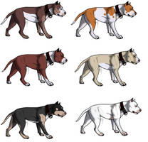 Offer adopts- Gamebred Pittbull Imports - closed