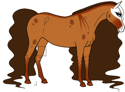 Horse Adopt - closed