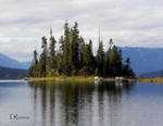 Island in the Lake by TRunna