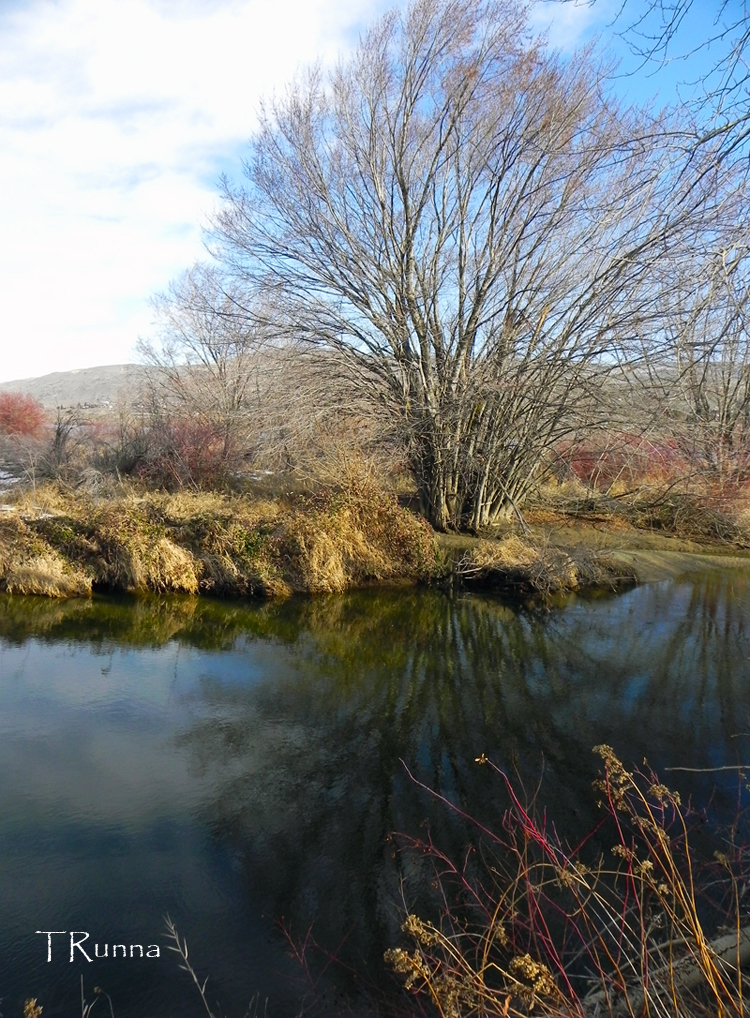 Confluence Park